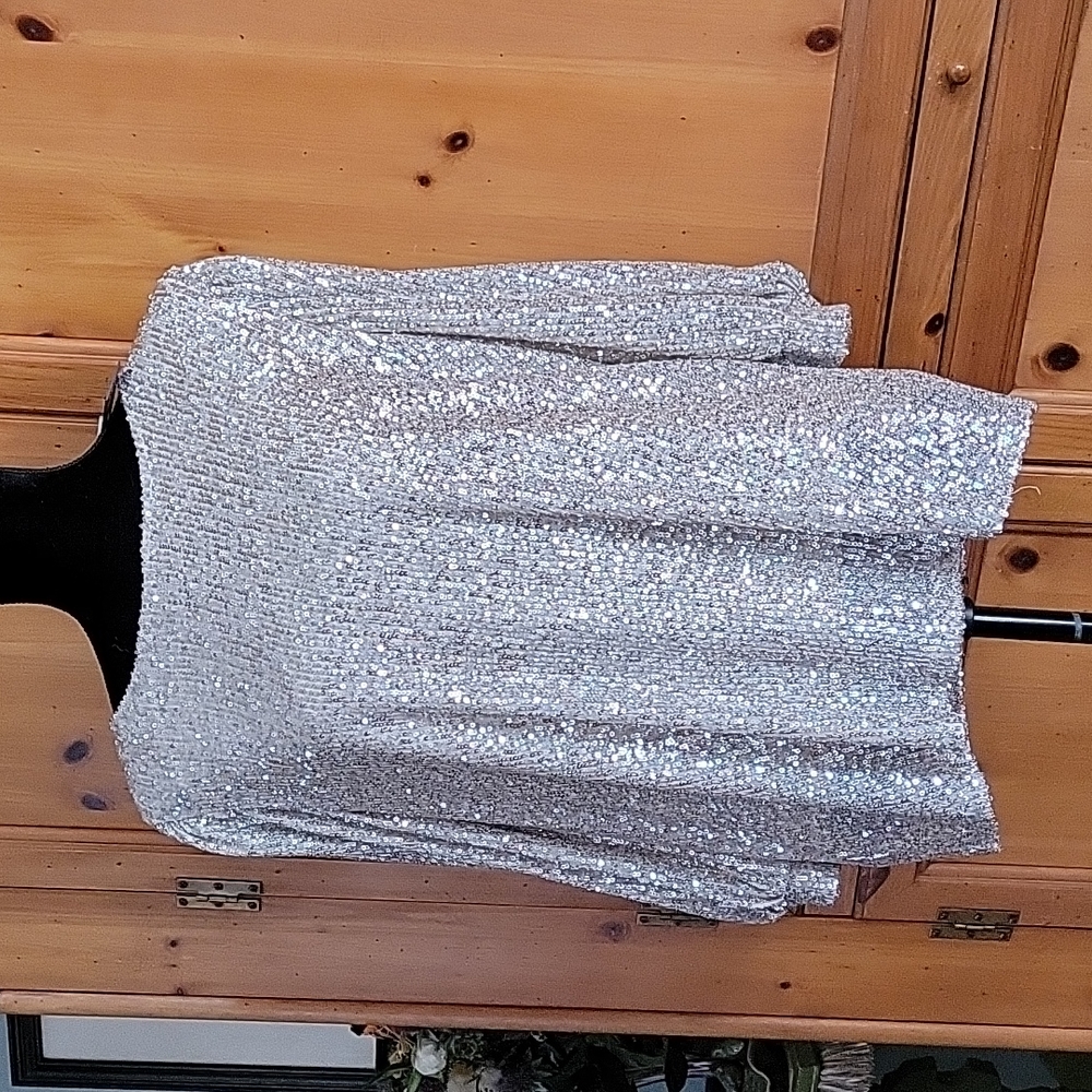 Silver sequin top